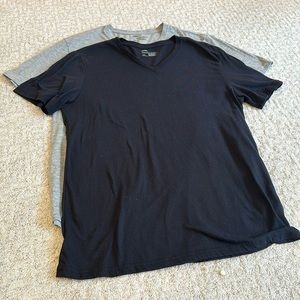 Bundle of 2, Public Opinion VNeck- large